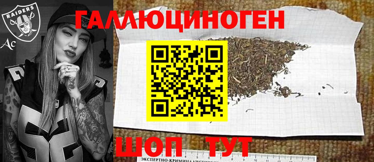 Галлюциногенные грибы Psilocybe  Вход с VPN  Красногорск 